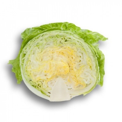 Lechuga Iceberg SALMARINAS
