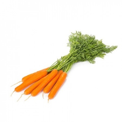 Zanahoria YMER