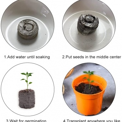 100 piezas de fibra de coco