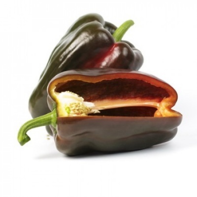 https://www.groho.es/product/semillas-hibridas-pimiento-crucero https://www.groho.es/product/semillas-hibridas-pimiento-crucero