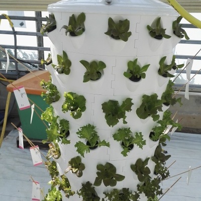 Torre Aeroponía - 120 plantas