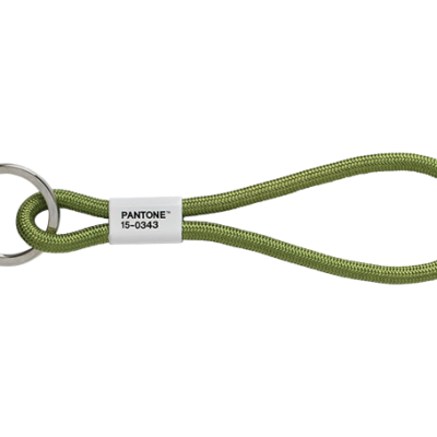 https://loja.tecnimprensa.pt/product/pantone-short-keychain