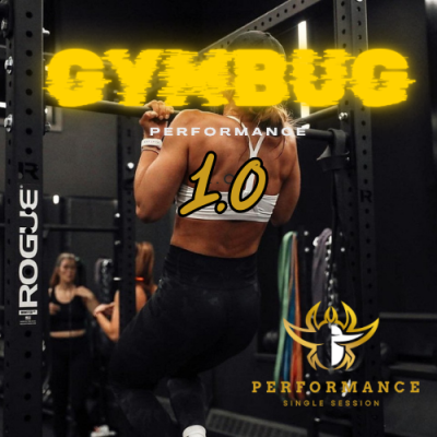 Gymbug&#x20;Performance&#x20;1.0