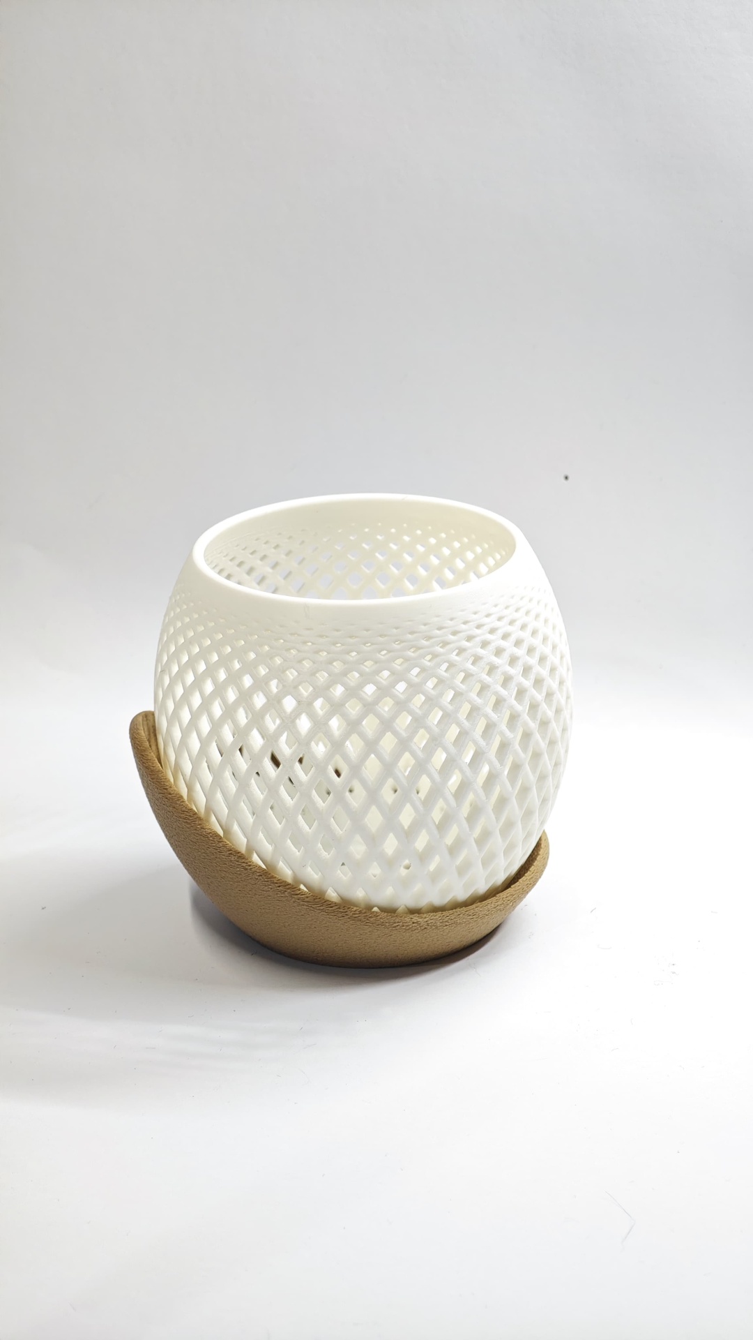 Vaso Decorativo - Design Moderno com Toque Natural