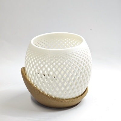 Vaso Decorativo - Design Moderno com Toque Natural