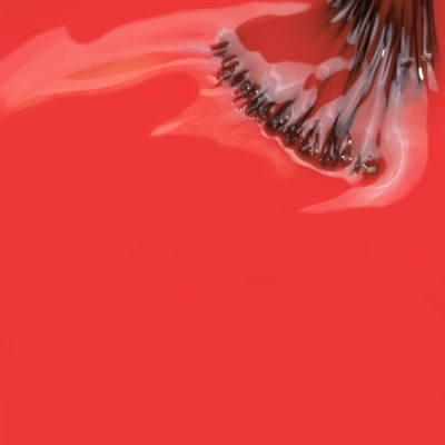 Fatias de kiwi com fundo vermelho