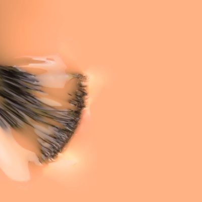 Pincel de maquilhagem com cerdas densas e pó compacto sobre fundo laranja