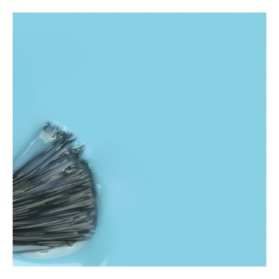 Conjunto de 25 cabos de nylon pretos com cabeça metálica em superfície azul