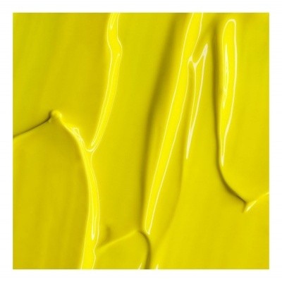 Gel Paint Neon Yellow 11 - Andreia Professional