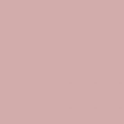 Fundo liso rosa nude