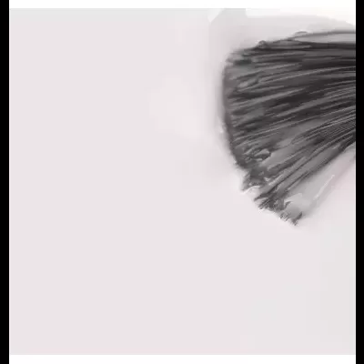 Conjunto de cerdas pretas agrupadas sobre fundo claro