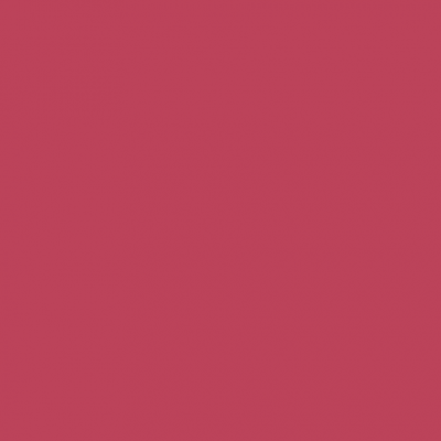 Andreia The Gel Polish G11 10,5ml