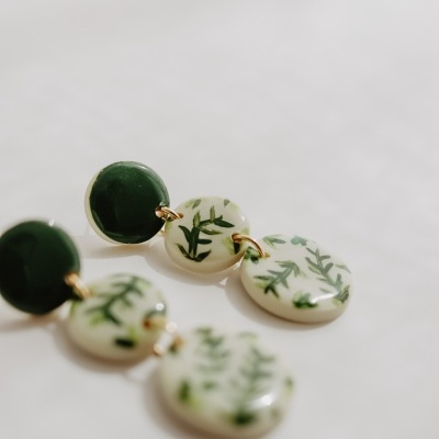 As folhas de Oliveira