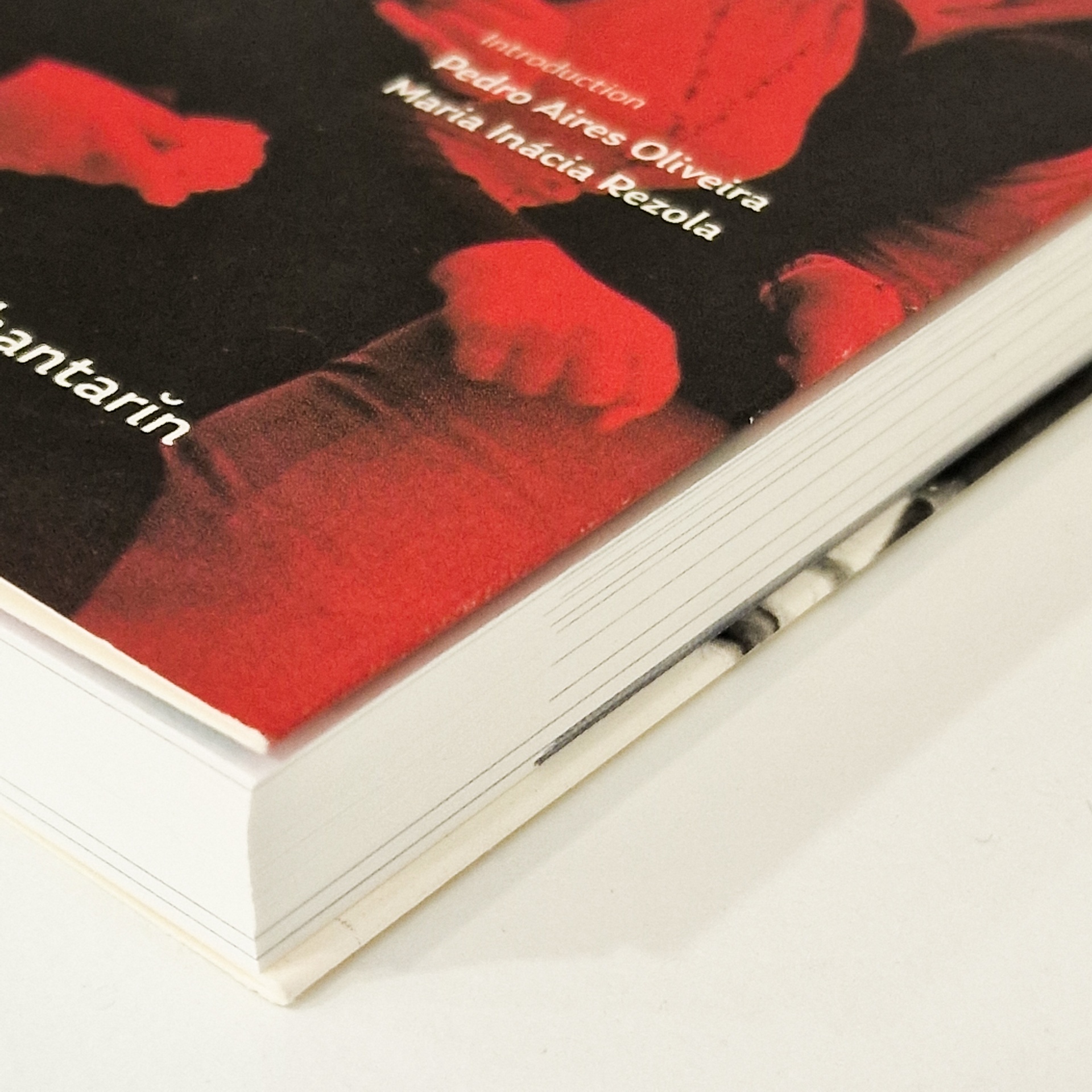 The portuguese carnation revolution The portuguese carnation revolution