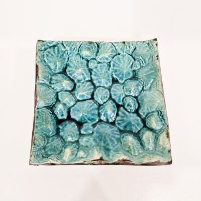 Taça Conchas - Quadrada