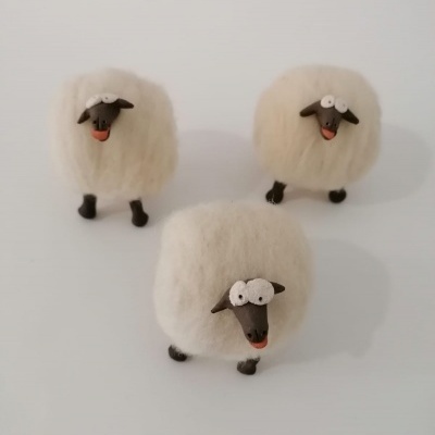 Ovelha Xoné - Pequena
