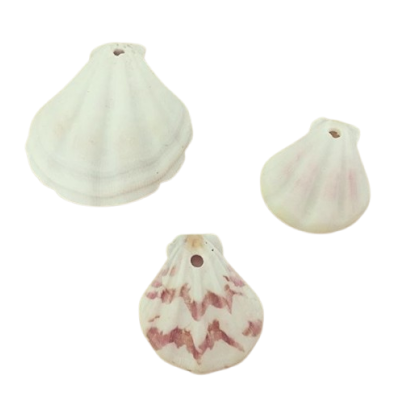 Concha Natural Grande