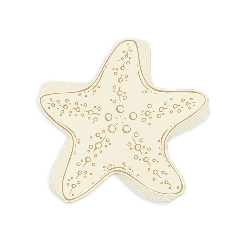 Álbum Base Chipboard Estrela Mar Sea La Vie  P13 Paper Products