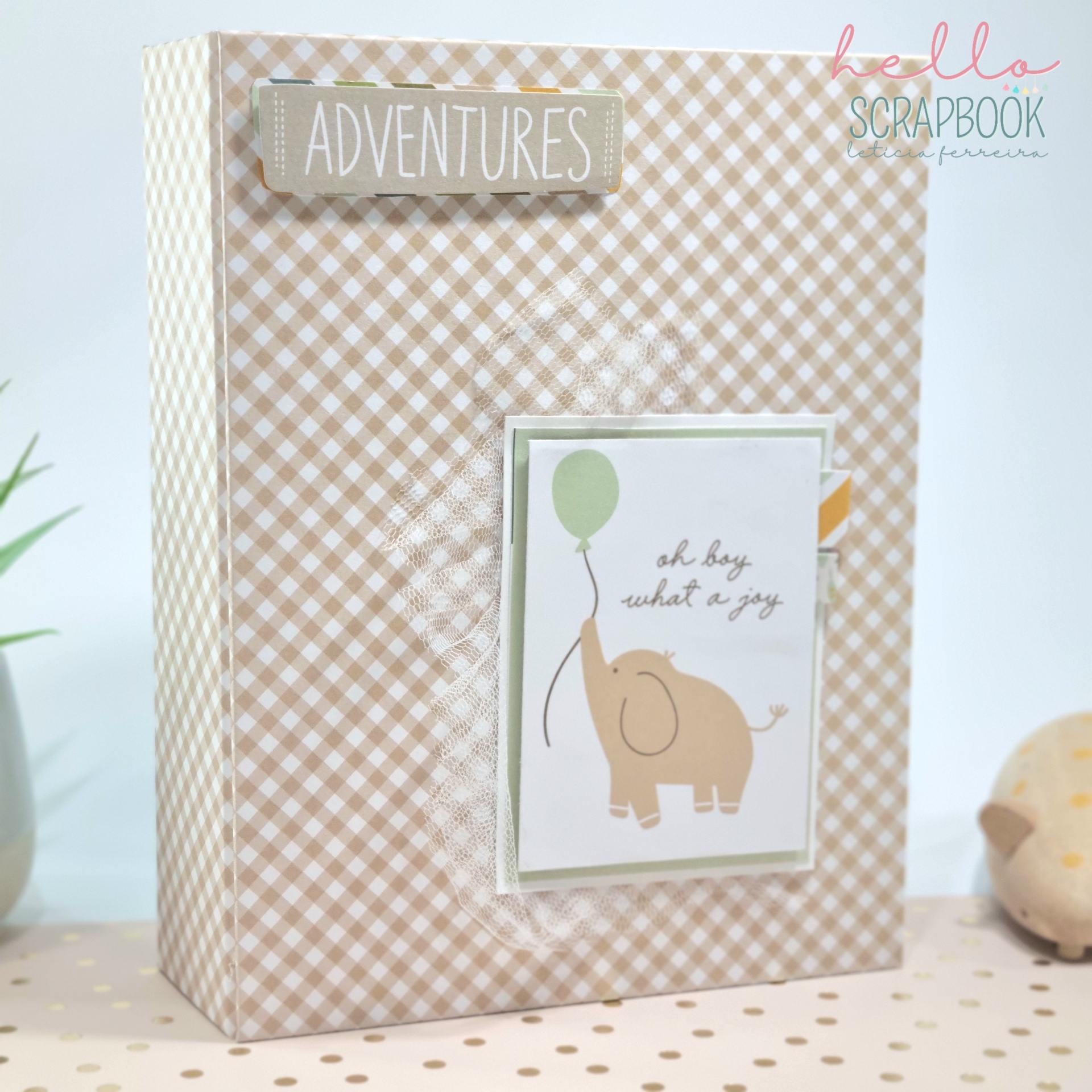 Álbum fotos Oh Boy What a Joy