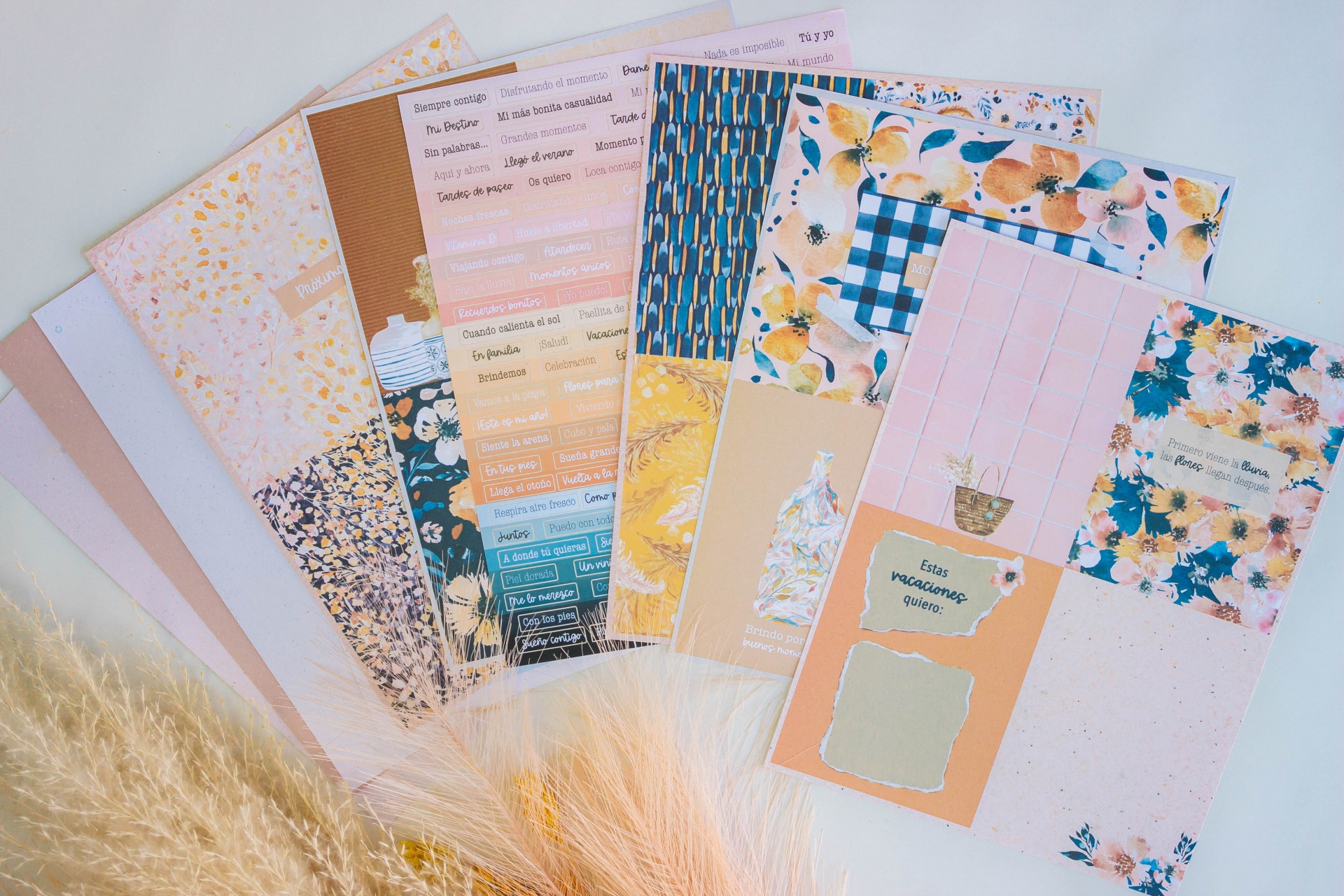 KIT Frases e Cartões | JASMINE, Gigis Lab