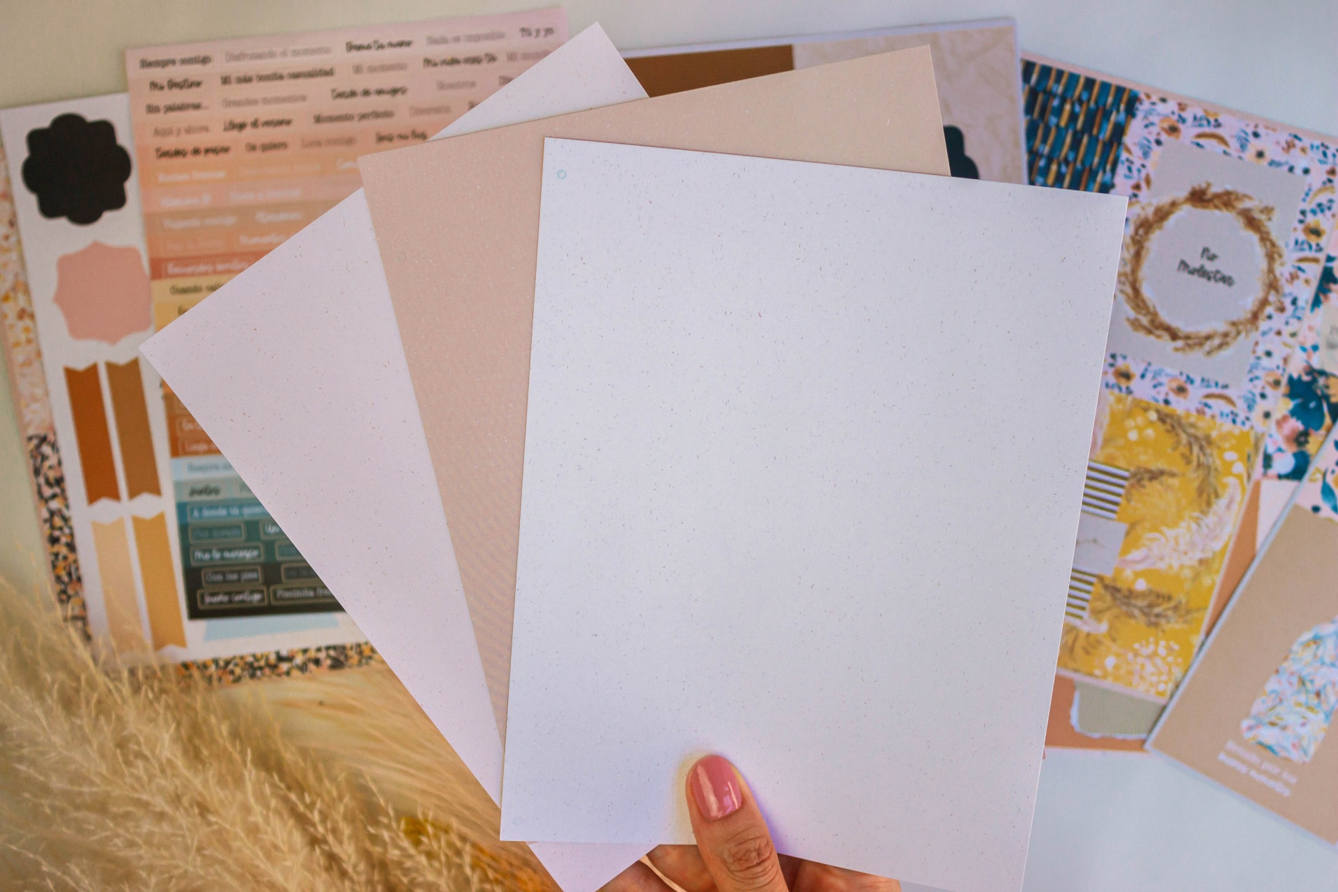 KIT Frases e Cartões | JASMINE, Gigis Lab