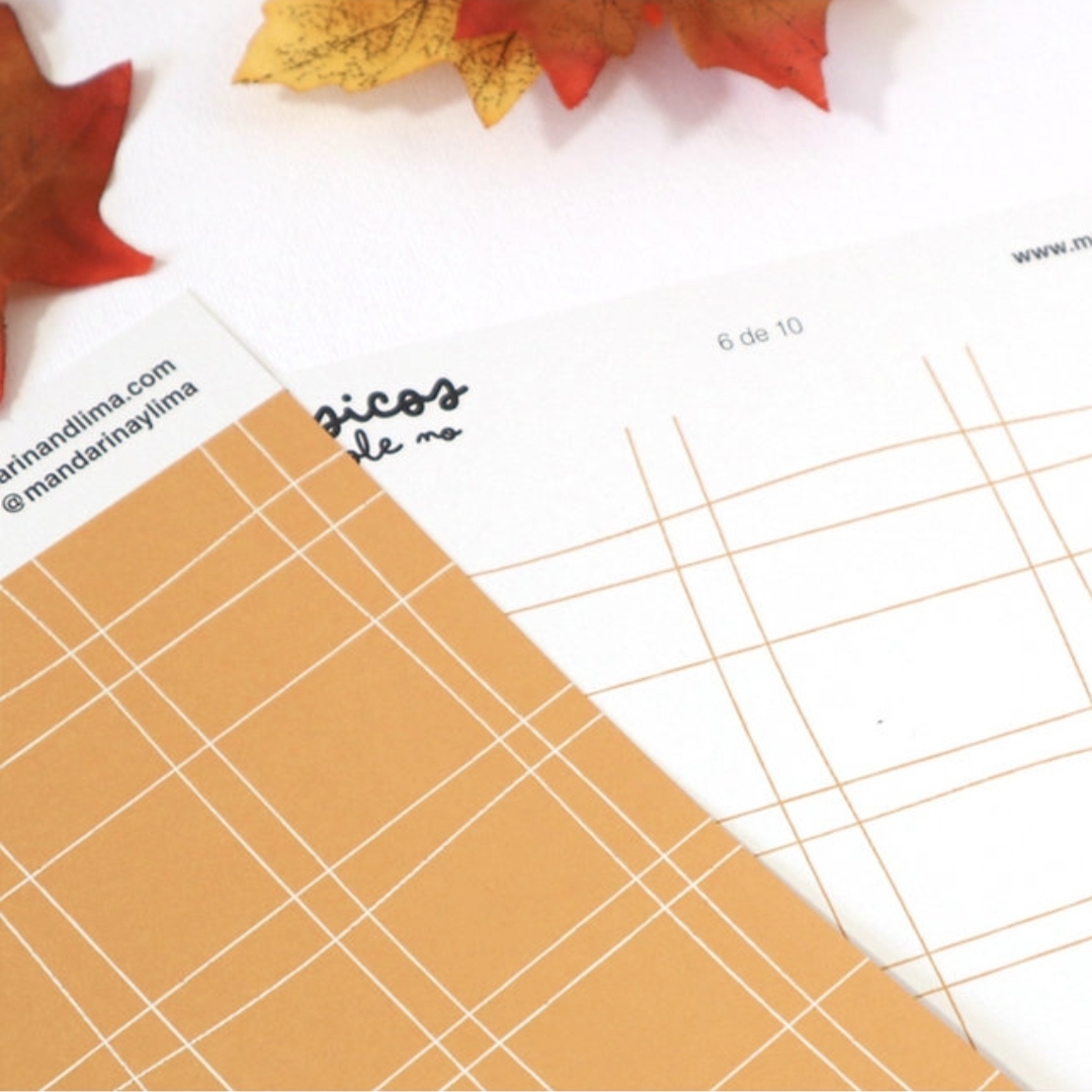 Papéis Básicos Al Cole No MandarinaLima