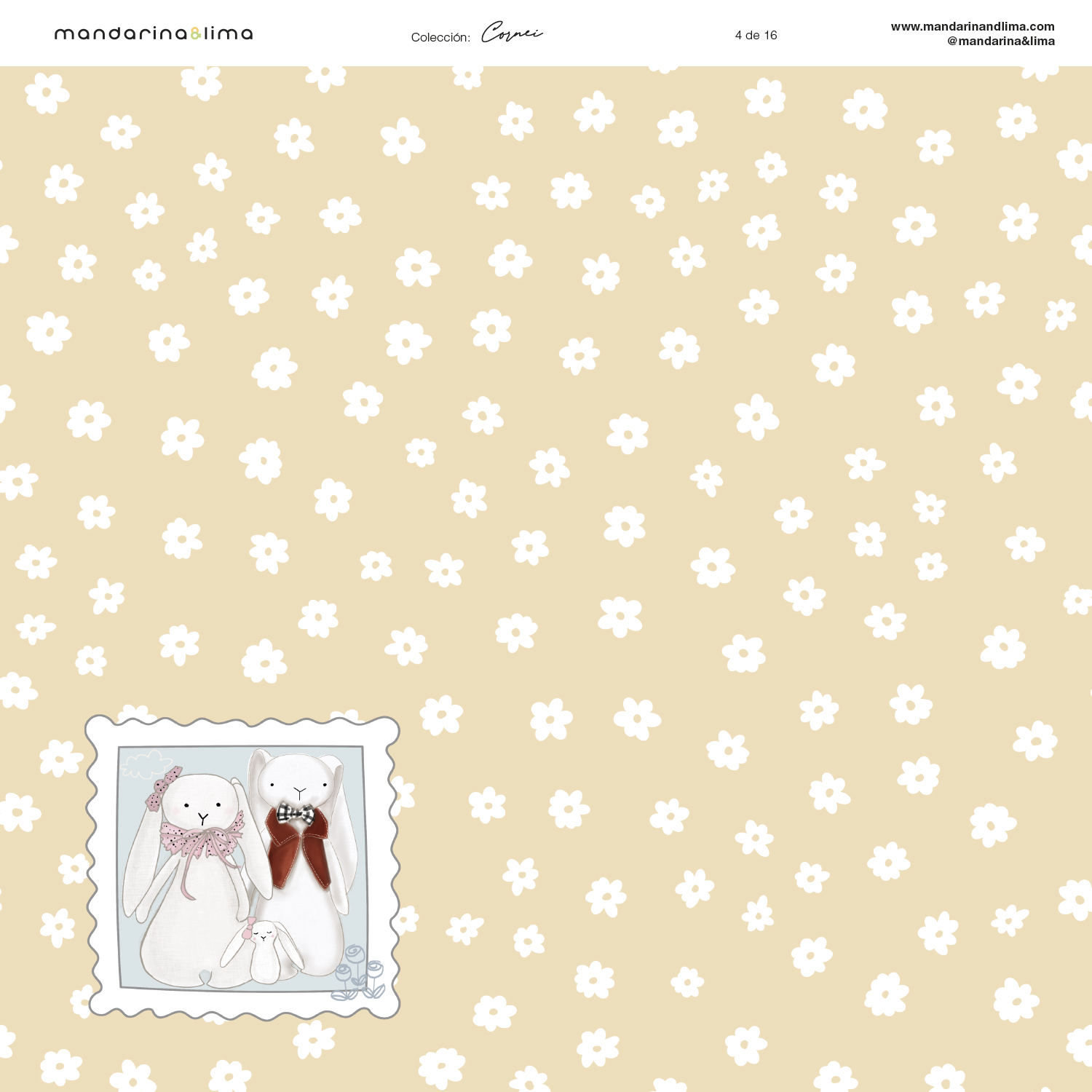 Coleção Papéis Scrapbook Cornie Mandarina & Lima