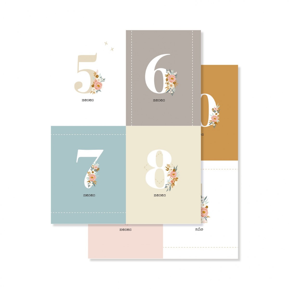 Cartões numerados decorativos com flores em várias cores de fundo