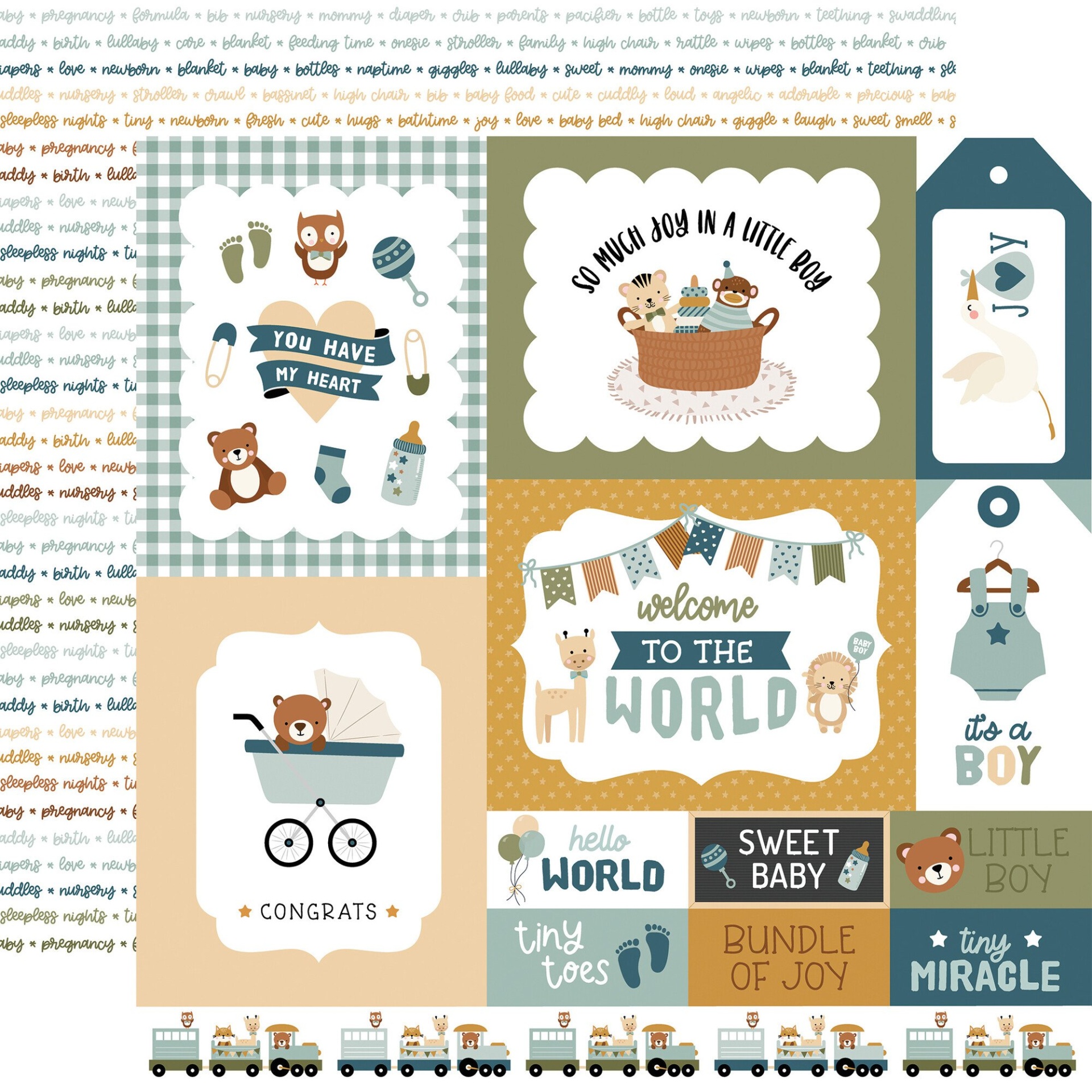 Collection Kit Special Delivery Baby Boy Echo Park