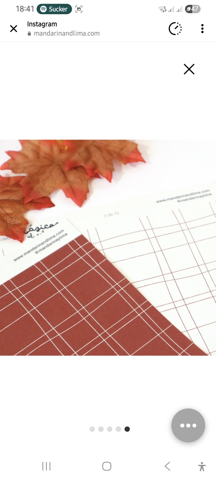 Papéis Básicos Al Cole No MandarinaLima