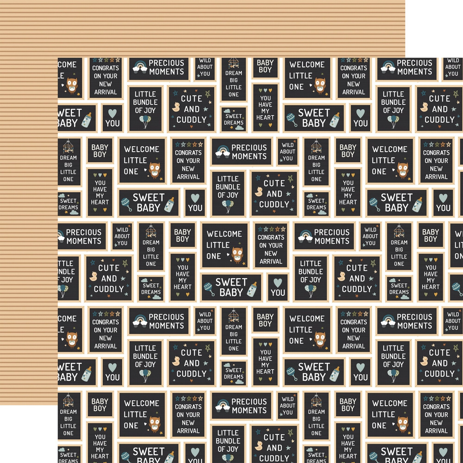 Collection Kit Special Delivery Baby Boy Echo Park