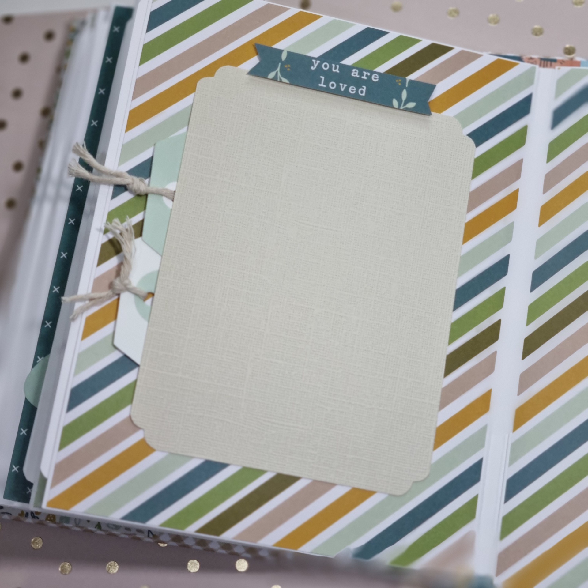 Álbum fotos Oh Boy What a Joy