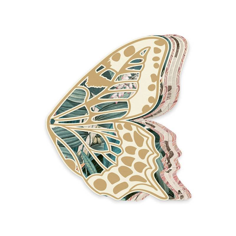 Álbum Base Borboleta COM Papéis Naturalist P13 Paper Products