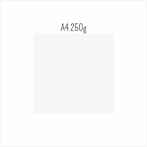 5 Cartolinas Cinza clarinho | A4 250g