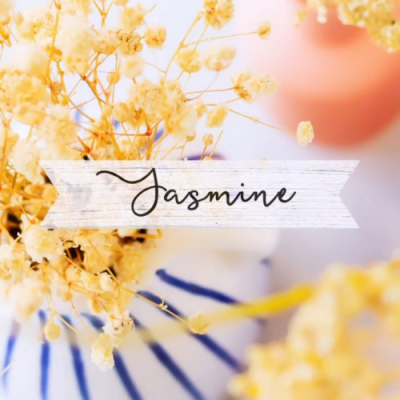Rótulo em papel com texto 'Jasmine' sobre flores secas amarelas e vaso branco com linhas azuis