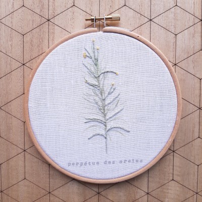 Perpétua das areias