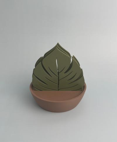 Monstera - Base Copos