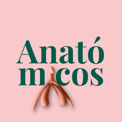 Modelos anatómicos | Educativos