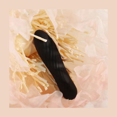 Vibrador bullet / Bala vibratória recarregável | Svakom - Tulip