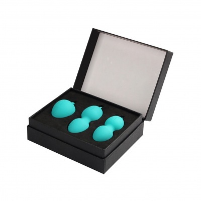 Kit Kegel Nova Svakom