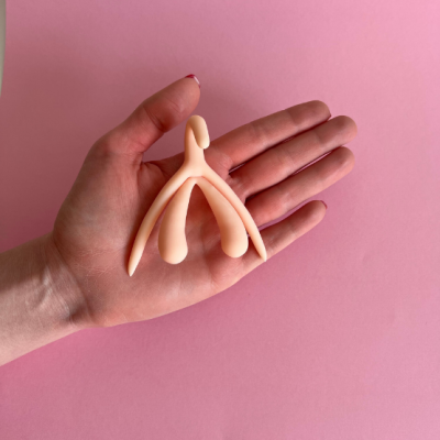 Clitóris 3D