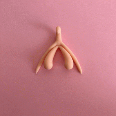 Clitóris 3D