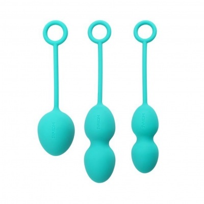 Kit Kegel Nova Svakom