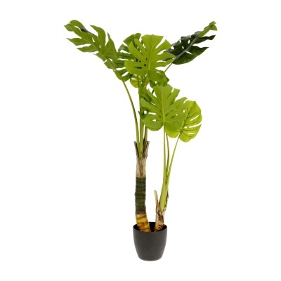 Planta artificial Costela-de-Adão, 130cm