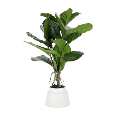Planta artificial Lyrata, 60cm