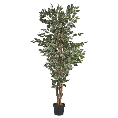 Planta artificial Ficus, 180cm