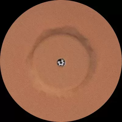 Protetor de sensor para Freestyle Libre 2