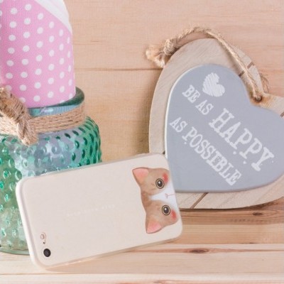 iPhone X/XS Capa Maoxin Yemeow (3 Cores)