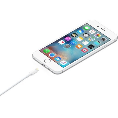 https://www.icare-market.pt/product/cabo-apple-lightning-para-usb-0-5-m https://www.icare-market.pt/product/cabo-apple-lightning-para-usb-0-5-m