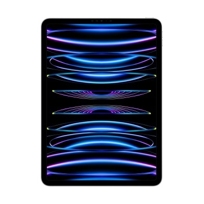 iPad Pro 11'' M2 (4ª geração|2022) Wi-Fi 256GB - Silver (Seminovo)